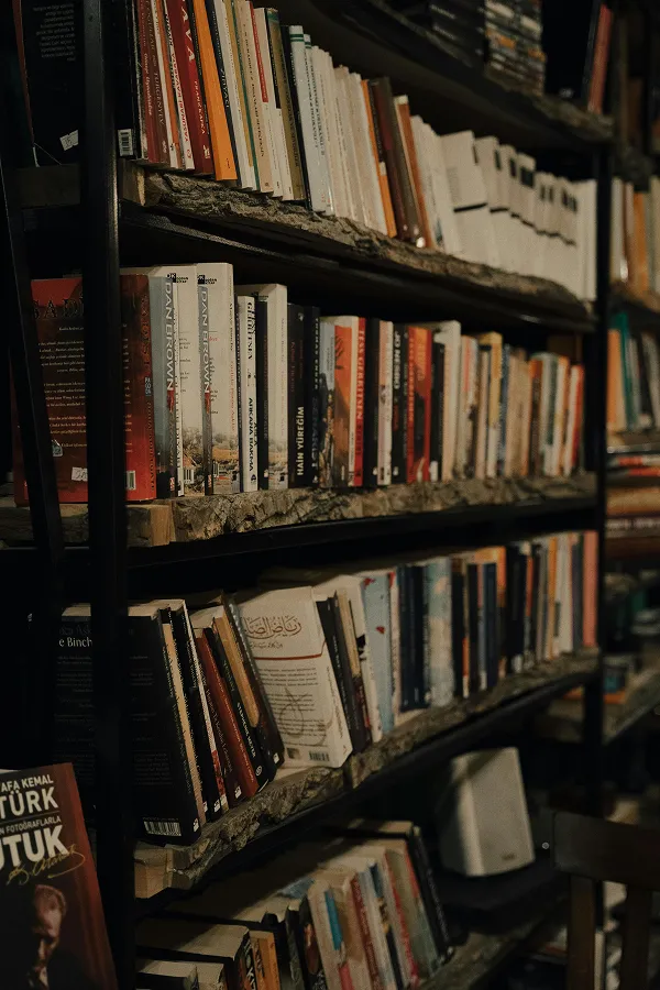 Expert Self-Publishing Services by Austin Books Writer